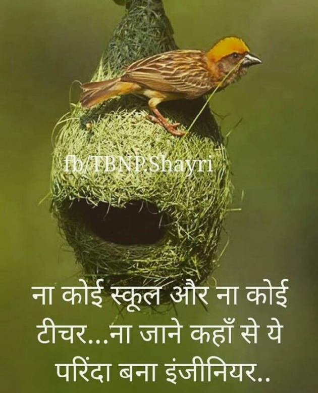 Gujarati Motivational by Yadav Suraj : 111108331