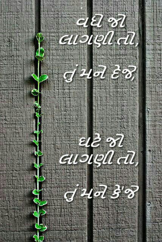 Gujarati Shayri by payal Patel મુસ્કાન : 111108438