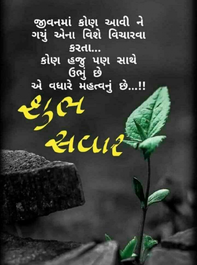 Gujarati Motivational by Lalbha Dholera Chudasama : 111108517