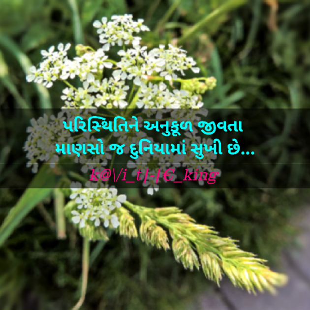 Gujarati Good Night by THE KAVI SHAH : 111108554