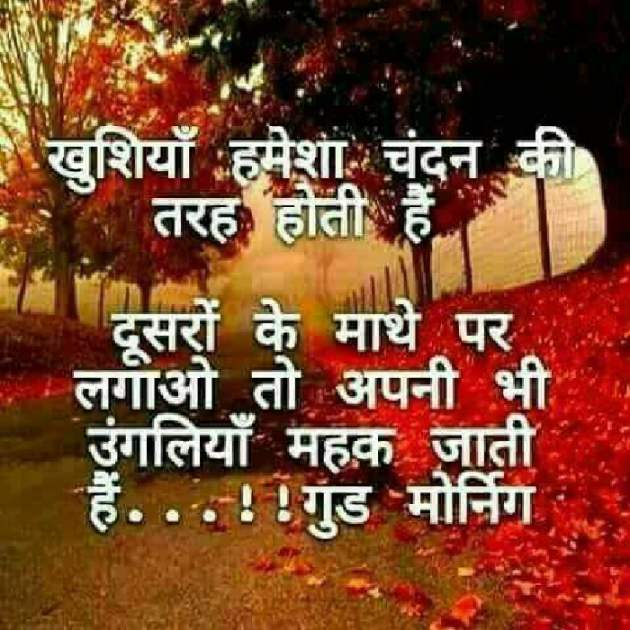 Gujarati Blog by Manish Patel : 111108575