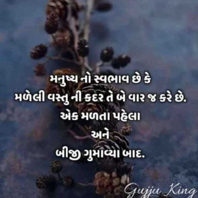Gujarati Shayri by Jigi Parmar : 111108723