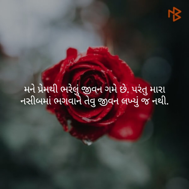Gujarati Blog by Nikunj Patel : 111108763