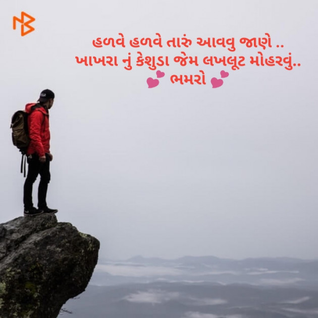 Gujarati Shayri by Bhamro : 111108781
