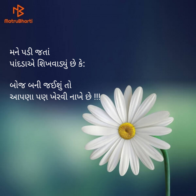 Gujarati Blog by Sajan Limbachiya : 111109069