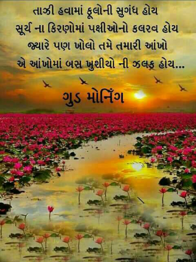 Gujarati Blog by Manish Patel : 111109383