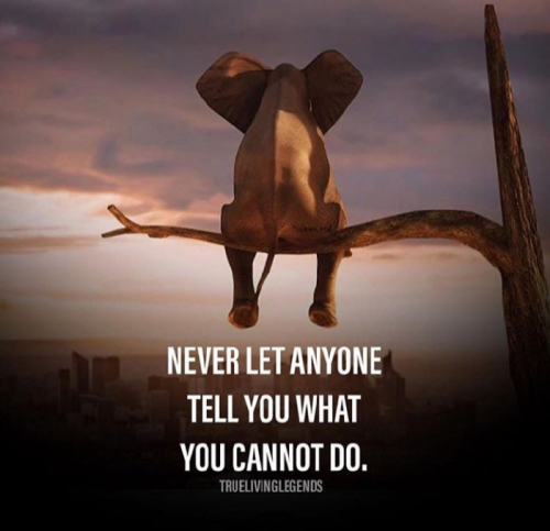 Post by Anita Rajyaguru on 12-Mar-2019 10:37am
