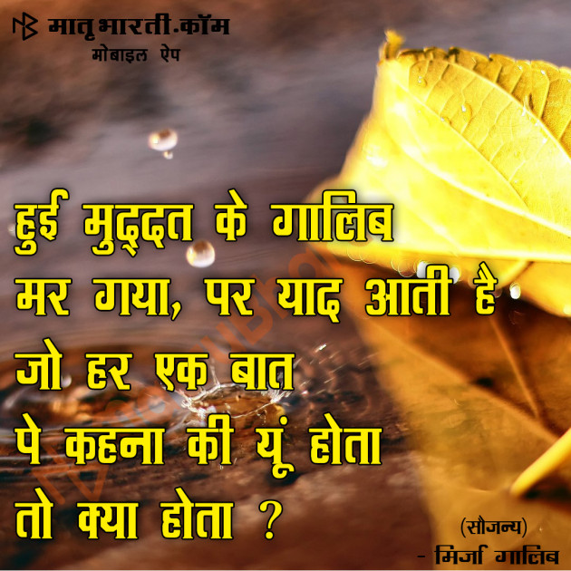 Hindi Shayri by MB (Official) : 111109767