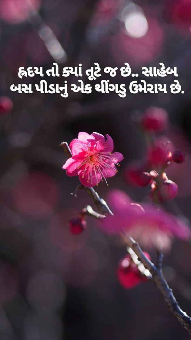 English Shayri by payal Patel મુસ્કાન : 111110563