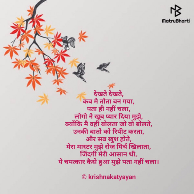 English Microfiction by Krishna Chaturvedi : 111110613