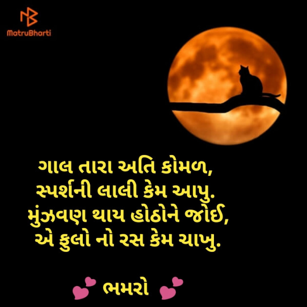 Gujarati Shayri by Bhamro : 111110621
