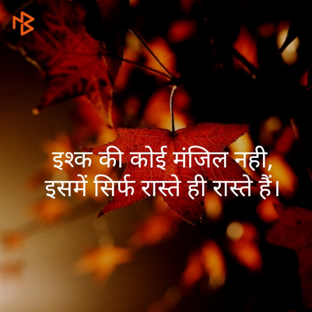 English Shayri by รµɦεℓ : 111110653