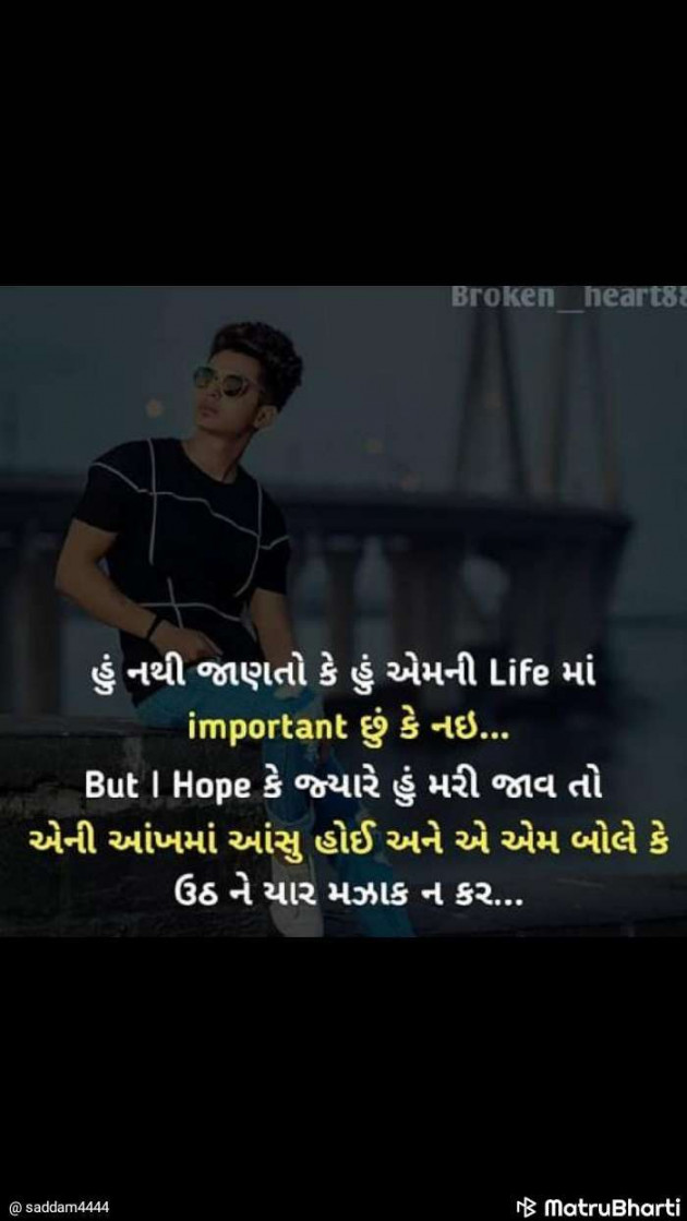 Gujarati Shayri by Mit Jetani : 111110680