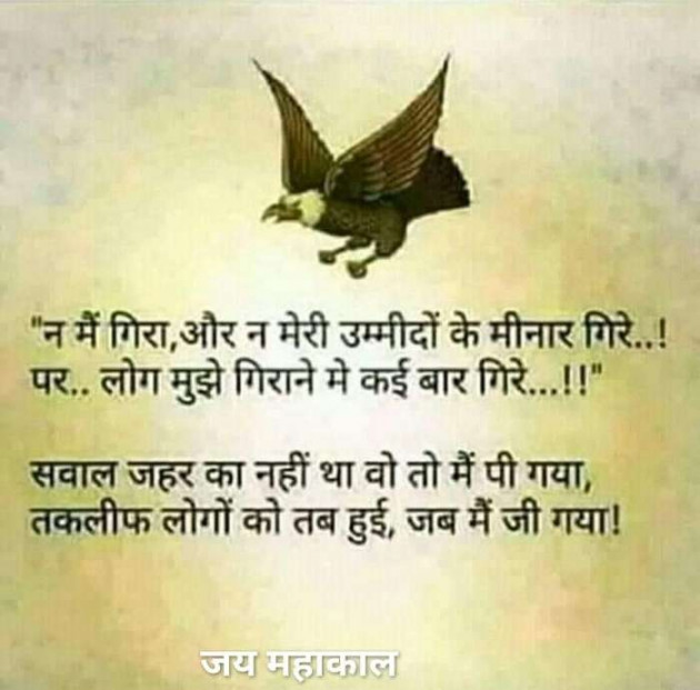 Gujarati Blog by Stolen : 111110718