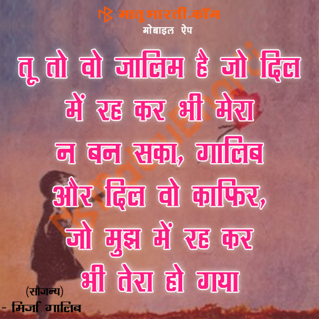 Hindi Shayri by MB (Official) : 111111014