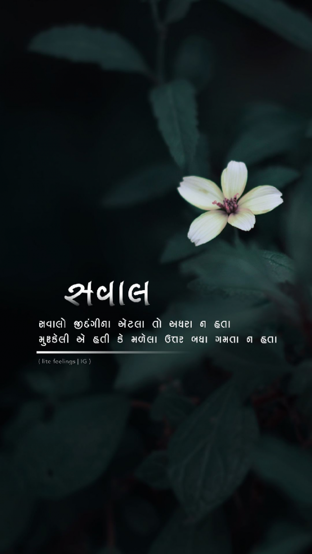 Gujarati Shayri by Mahesh Prajapati : 111111082