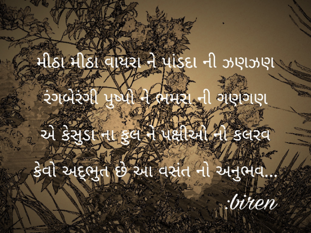 Gujarati Shayri by Biren Patel : 111111295