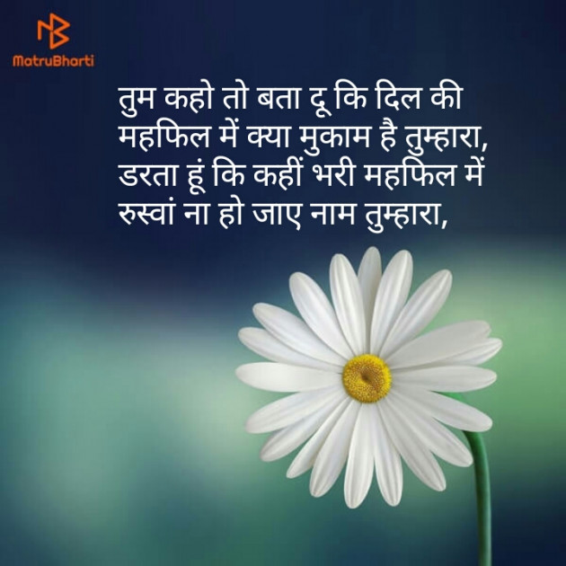 Hindi Shayri by Shaihla Ansari : 111111350