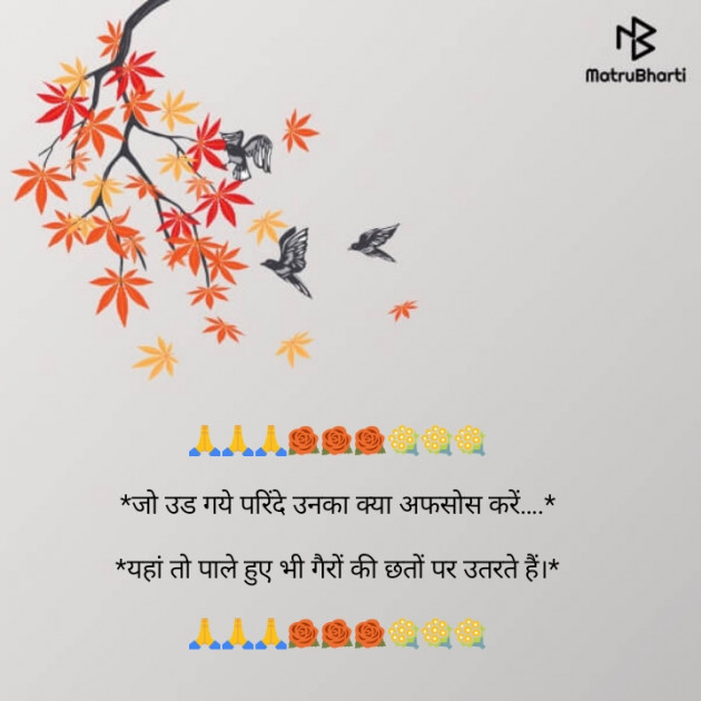 English Shayri by pankaj jain : 111111486