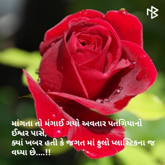 Gujarati Good Morning by ankita chhaya : 111111573