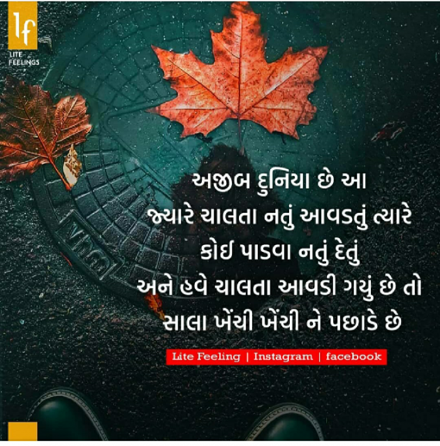 Gujarati Quotes by Vanrajsinh Rajput : 111111682