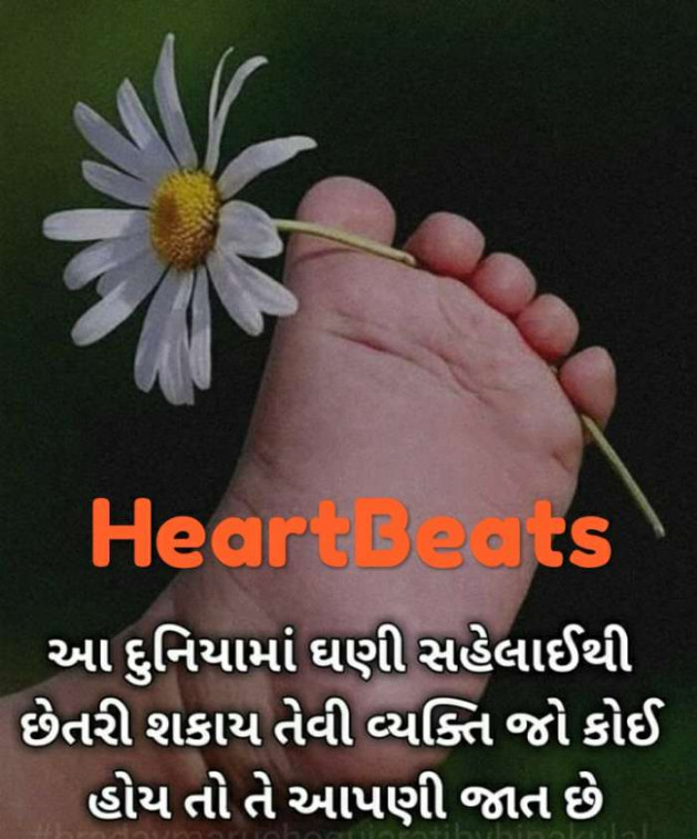 English Blog by Heart Beats : 111111944