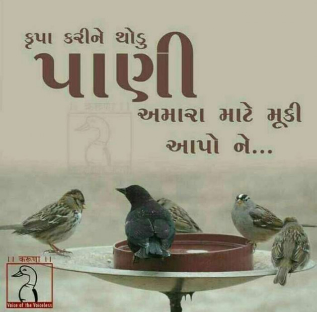 Gujarati Quotes by Bhavesh Trivedi : 111112542