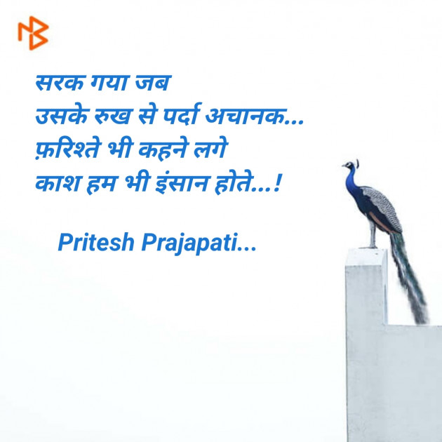 English Shayri by Pritesh Prajapati : 111113085