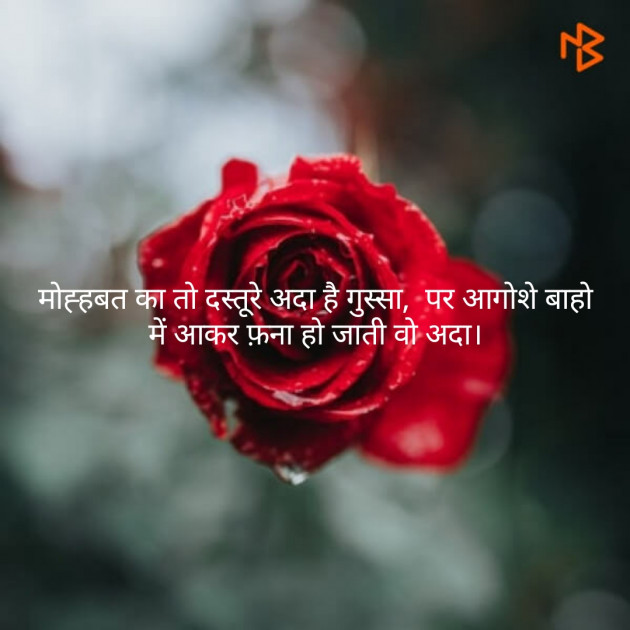 Hindi Shayri by Sharad Maloo : 111113120