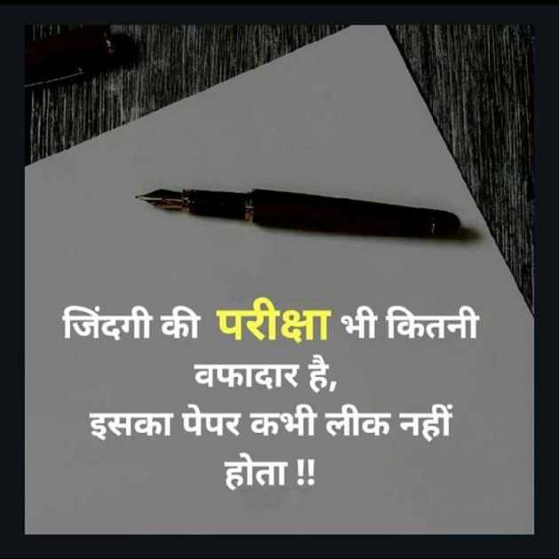 Gujarati Blog by Manish Patel : 111113651