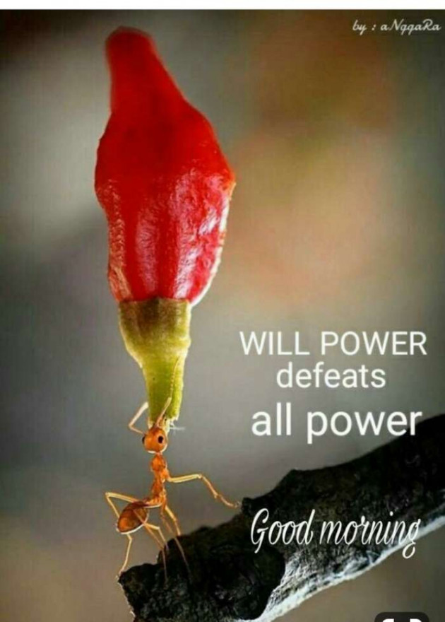 English Quotes by Jasmin Mistry Jasmin Mistry : 111114104