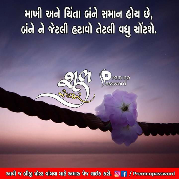 Gujarati Quotes by Ketan Thakor : 111114544