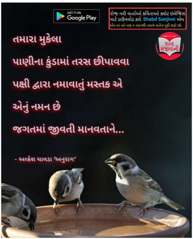 Gujarati Quotes by Alkesh Chavda Anurag : 111114832