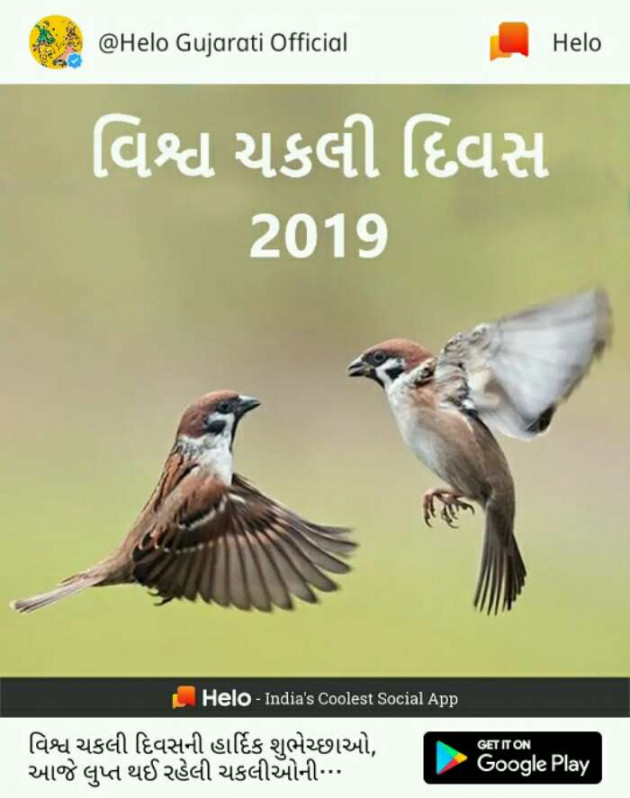 Gujarati Whatsapp-Status by Rajesh Samdhiya : 111115097