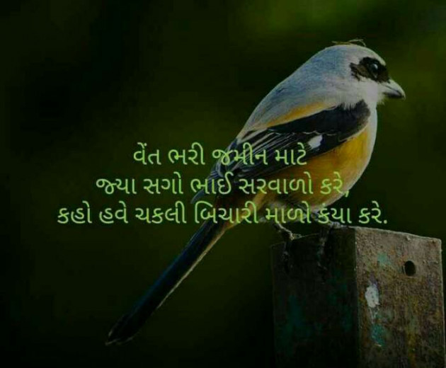 Gujarati Whatsapp-Status by પારૂલ ઠક્કર... યાદ : 111115137