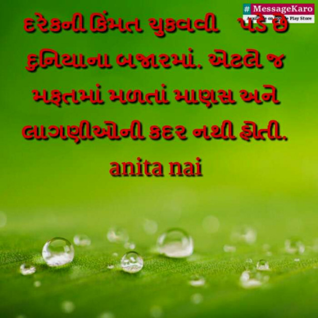 Gujarati Blog by Anita Nai : 111115384