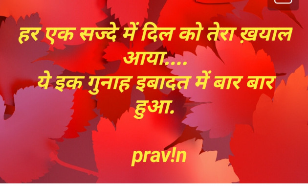 Gujarati Shayri by Pravin.. : 111116004