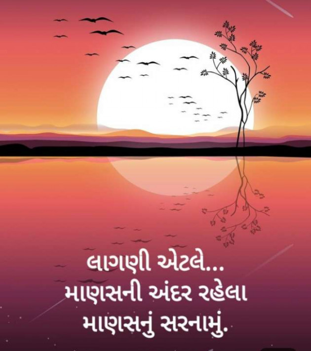 English Quotes by Jasmin Mistry Jasmin Mistry : 111116521