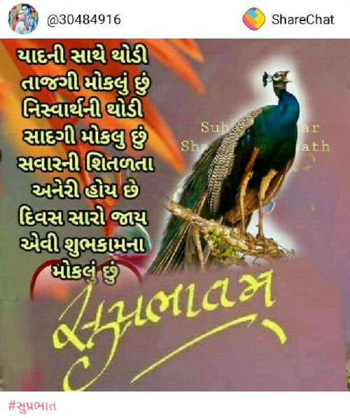 Post by Sunita Prajapati on 23-Mar-2019 07:55am