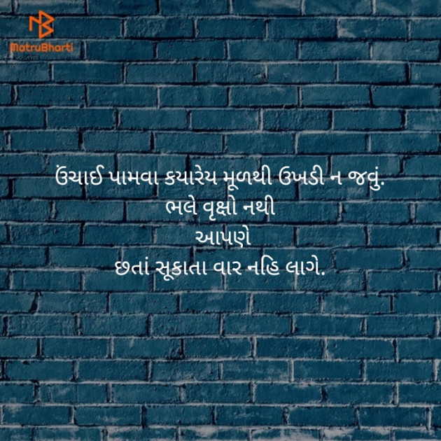 Gujarati Motivational by Vijay Dodiya : 111116971