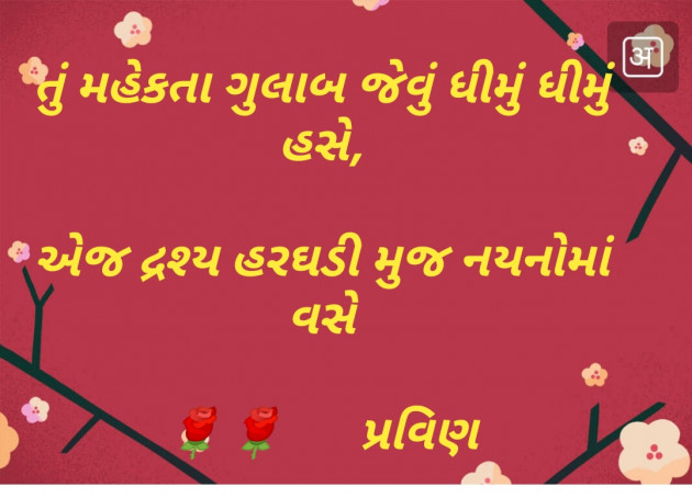 Gujarati Shayri by Pravin.. : 111117311