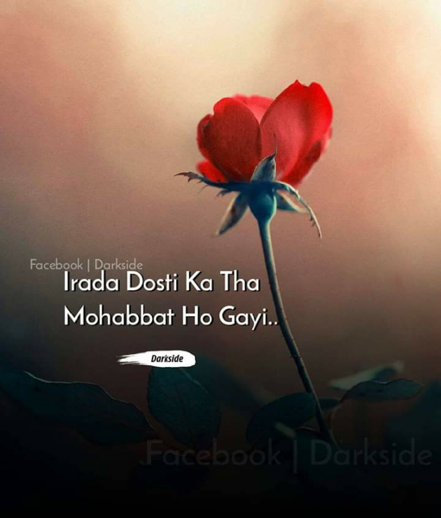 Gujarati Whatsapp-Status by Jayesh Vaghela : 111117450