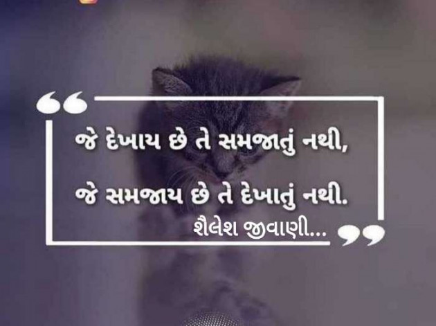 Gujarati Motivational by Shailesh jivani : 111117523