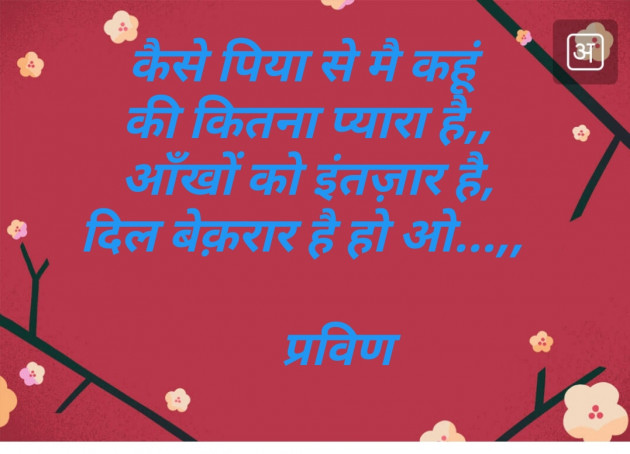 Gujarati Shayri by Pravin.. : 111117686