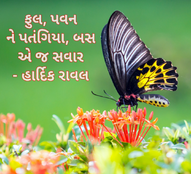 Gujarati Blog by HARDIK RAVAL : 111117832