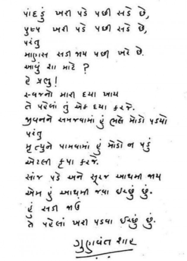 Gujarati Good Morning by Parmar Narvirsinh : 111117853