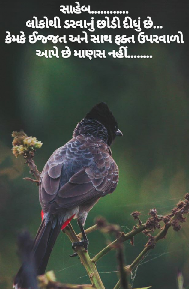 English Thought by Prachi Patel : 111118238