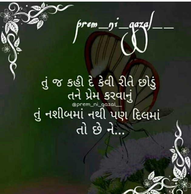 English Whatsapp-Status by Vinod Patel : 111118381