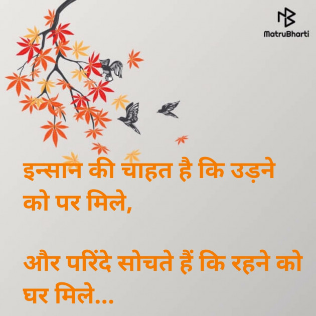 Hindi Shayri by Neelima Sharma : 111118403