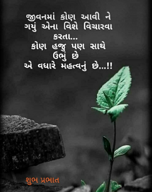 Post by chandrika indrodiya on 26-Mar-2019 12:46am